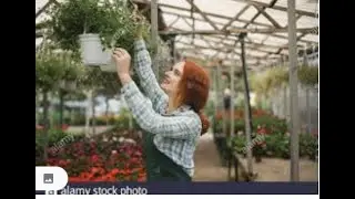 Top 10 easy to grow vegetables for beginners!   How To Grow Chillies and Tomatoes At Home!