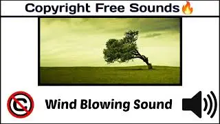 Wind Blowing Sound / Popular Nature Sounds / #nocopyright  / [Copyright Free Ambient Sounds]