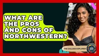 What Are The Pros And Cons Of Northwestern? - The College Explorer