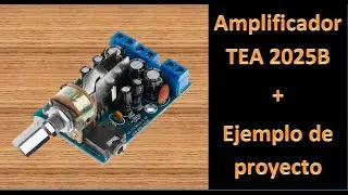 amplificador tea2025 Revision, prueba y ejemplo de proyecto