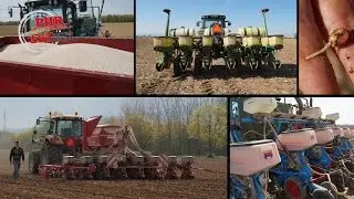 Les semis de maïs 2016