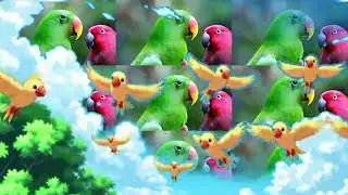 RoCo-Effects,the parrot walking in the sky.