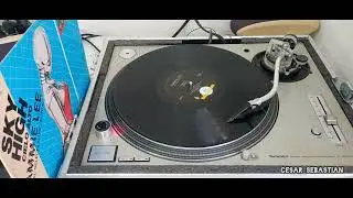 Tammie Lee - Sky High 1986