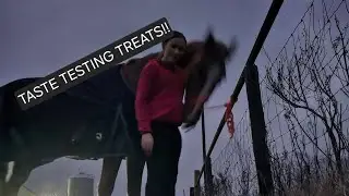 SKY TASTE TESTS TREATS (Everything in this video is safe for horses to eat)