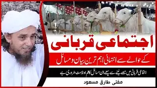 Ijtimai Qurbani ky Important Masail par Bayan ! Mufti Tariq Masood اجتماعی قربانی کے اہم مسائل