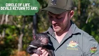 CIRCLE OF LIFE!