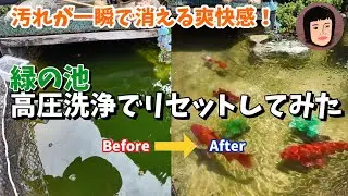 【50代主婦vlog】池を丸ごと！高圧洗浄で、ピカピカに【金魚とメダカの住処】