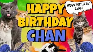 Happy Birthday Chan! Crazy Cats Say Happy Birthday Chan (Very Funny)