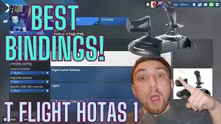 Best Bindings : T Flight Hotas One ThrustMaster : MSFS 2024