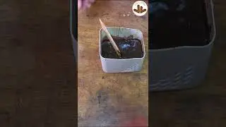 MATIZANDO COLOR CAOBA OSCURO Con Pintura Piroxilina MUY FACIL #pintura  #pintar #tips - LUIS LOVON