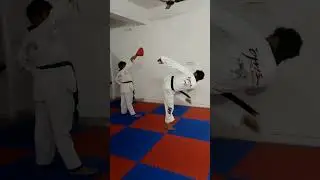 HAPPY KICK DAY SPECIAL..BACK GROUND KICK #taekwondo #shorts #viral #short #kick