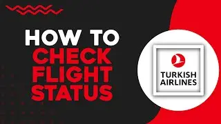 Как проверить статус рейса Turkish Airlines (краткое руководство)