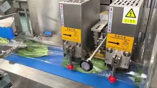 Automatic vegetable bag packaging machine.#machine #packaging #vegetables #factory #manufacturing