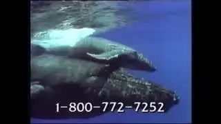 Opening to Wind 1993 VHS