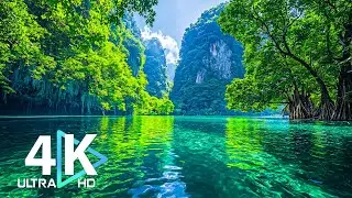 The Emerald Awakening | Restore Your Nervous System 🌿 4K UHD Cinematic Nature Film