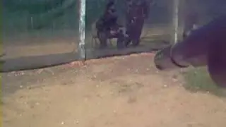 paintball barrel cam