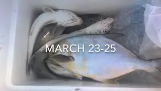 Northeast florida Surf fishing forecast