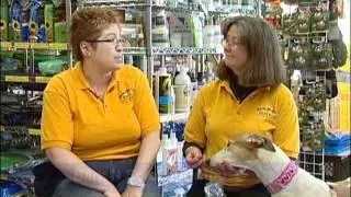 BarkNScratch_Segment_3_wmv.wmv
