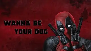 Deadpool || Wanna be your dog (+Wolverine)
