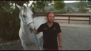 Federico Pacini - Pony Mounted Games - Ponyadi 2017