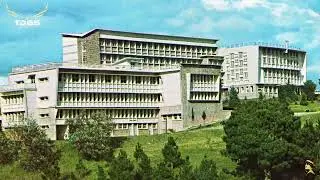 ĐÀ LẠT XƯA | Những Hình Ảnh Quý Hiếm Mang Nhiều Hoài Niệm Trước 1975 | THƯƠNG VỀ MIỀN ĐẤT LẠNH