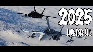 【DCSWorld】2025年の記録