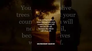 Deuteronomy 28:40 (NIV)