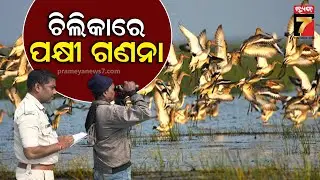 Chilika Bird Census 2025 |ଚିଲିକାରେ ଚାଲିଛି ପକ୍ଷୀ ଗଣନା, କାର୍ଯ୍ୟରେ ନିୟୋଜିତ ଅଛନ୍ତି ୨୧ଟି ଟିମ|PrameyaNews7