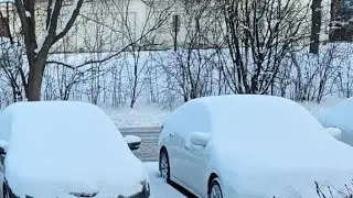 Enjoy Snow Fall in 2026 First Snow on Earth || Chicago Pilla