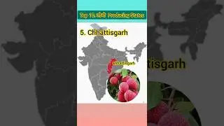 Top 10.Lichi Producing State inBharat lichi production bihar westbengal AssamJharkhand chhattisgarh