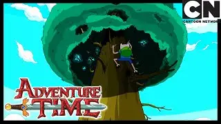 Hora de Aventura Brasil | Subindo Na Árbore | Cartoon Network