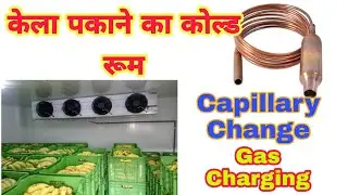 Kela Pakane Ka Cold Storage . Banana Ripening Cold Room Gas Charging . How To Change Capillary .