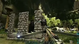 How to Tame/Trap a Dire bear