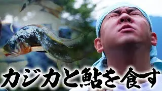 天然のアユをつまみにカジカの骨酒を嗜む