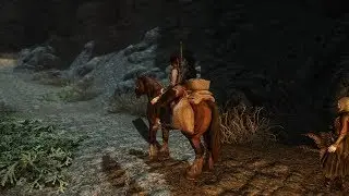 Skyrim SE Pinnacle Reality  ENB Bear Fight