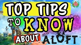 Aloft Top 10 Tips You Need to Know!