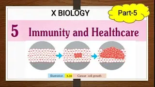 Immunity and health care  SSLC biology  chapter 5 class10  Part 5 Non contagious diseases, Cancer