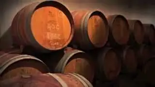 Domaines Paul Mas (Languedoc)