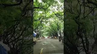 #BeautifulRoads#ScenicDrive # #NatureOnTheRoad #PeacefulJourney  #RoadsideBeauty #chennai road vibe#