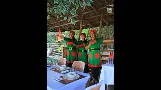 Virgin River Cruise #philippines #palawan #bohol #boracay