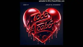 SEEK 17 - TODO ACABO