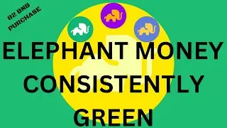 ELEPHANT MONEY CONSISTENT GREEN DAYS
