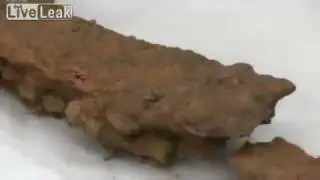 Preserved Viking Burial Site Found in Britain