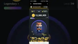 Hamster kombat Day 3 combo cards
