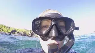 Underwater Safaris - Scuba Diving Montague Island
