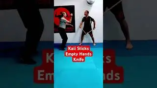 Filipino Martial Art Kali Sikaran with sticks, empty hands & blades  #martialart #kali #shorts
