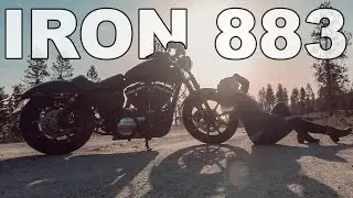 2019 Harley Davidson Iron 883 | Time to say Goodbye