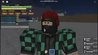 quake quake fruit showcase king piece roblox