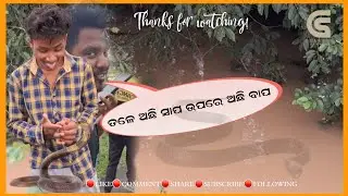 Il ତଳେ ଅଛି ସାପ ଉପରେ ଅଛି ବାପ ll Chandra Sekhar ll #snakevlog #friendsvlog #viralvlog #ChandraSekhar 