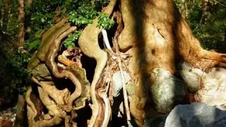 CUMALIKIZIK YUDOSK TREKKING DOĞA YÜRÜYÜŞÜ